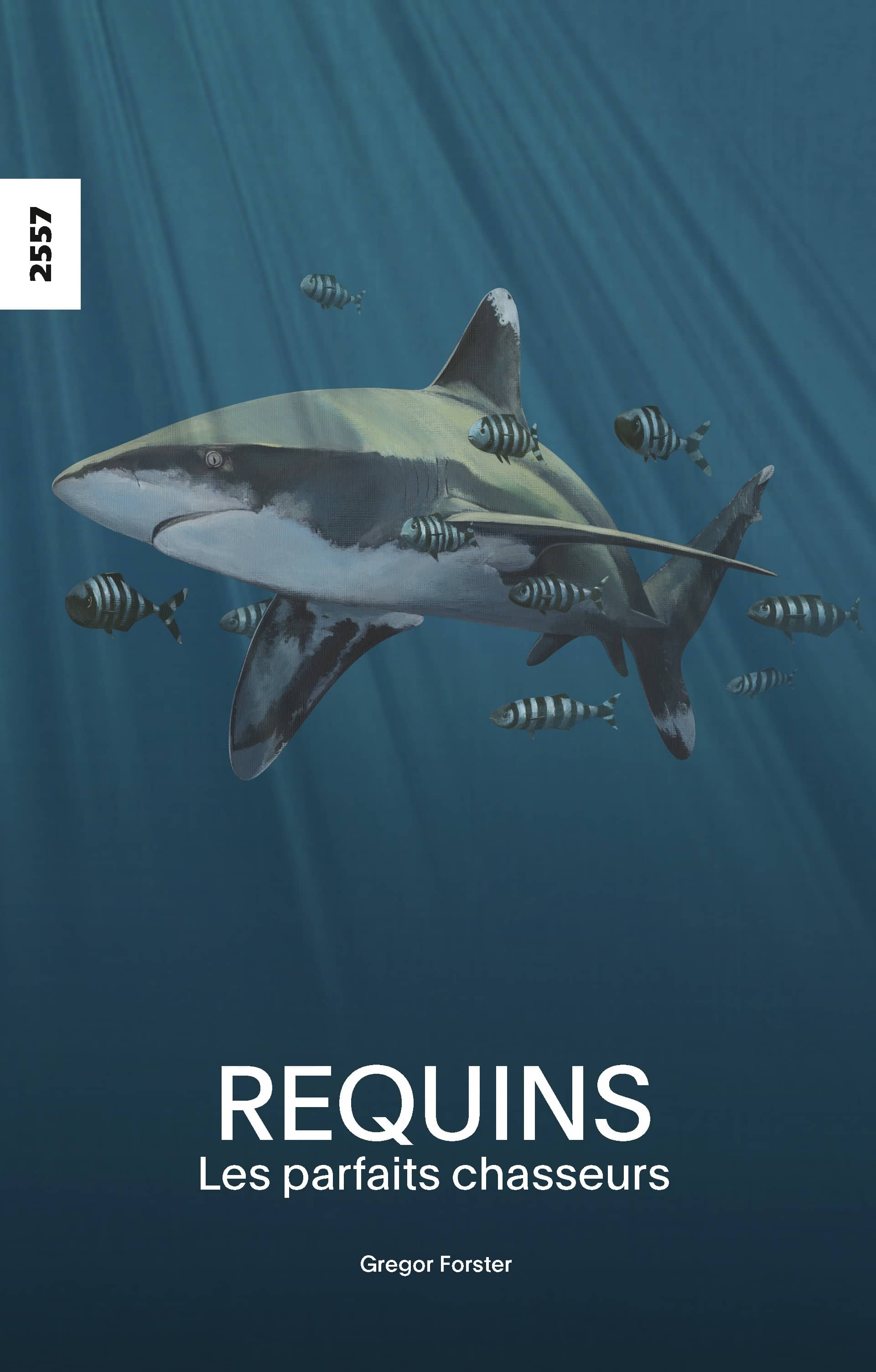 Requins - les parfaits chasseurs, un livre pour enfants de Gregor Forster, éditions de l’OSL, nature