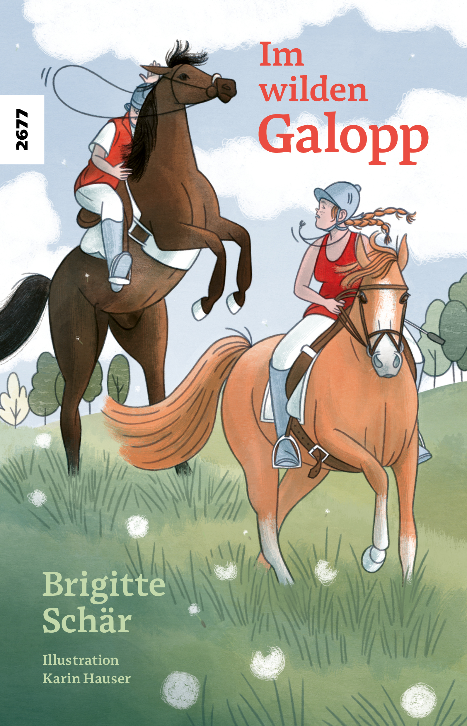 Im wilden Galopp, ein Jugendbuch von Brigitte Schaer, Illustration von Karin Hauser, SJW Verlag, Pferdegeschichte
