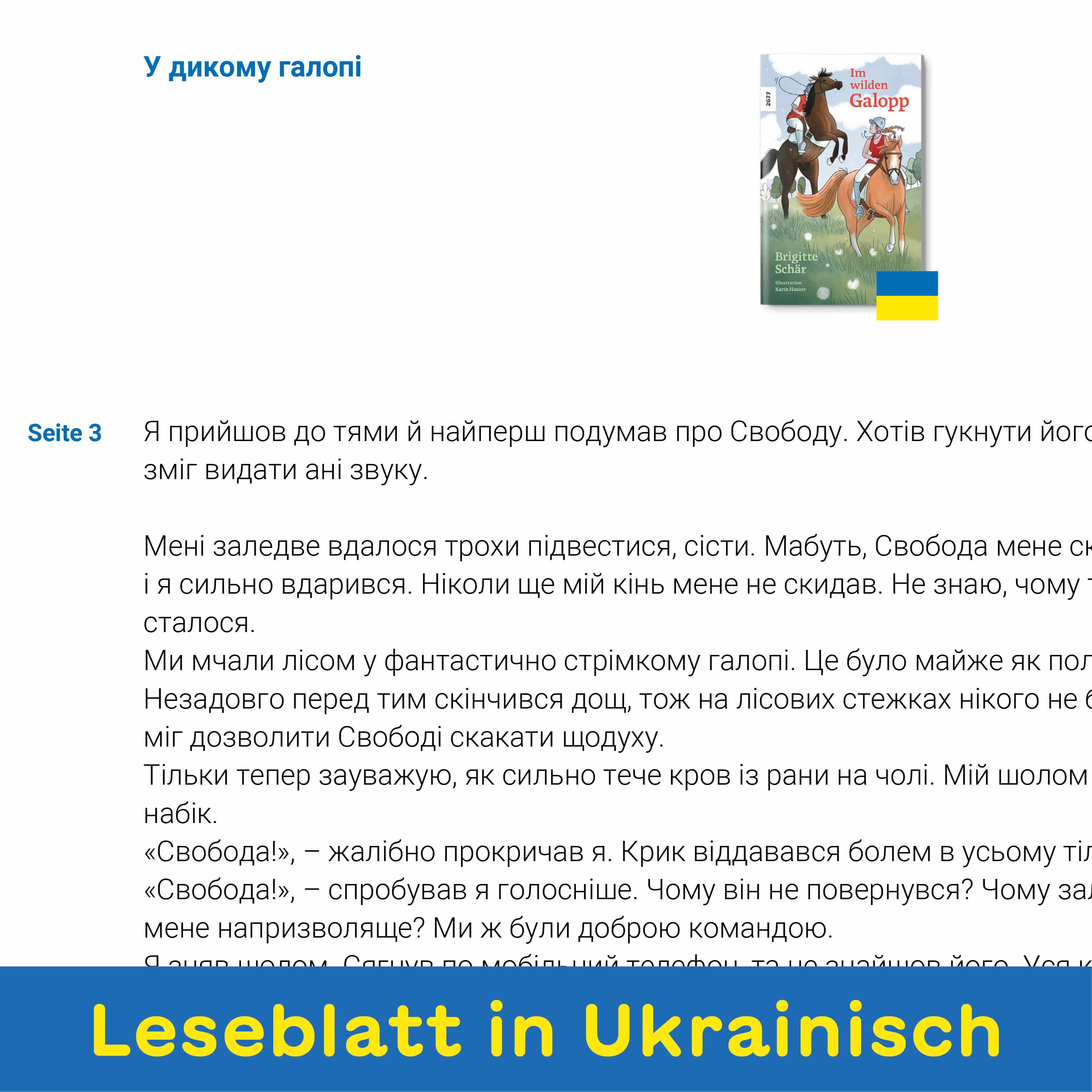 Lesebox: 2. Zyklus in UKR & DE 