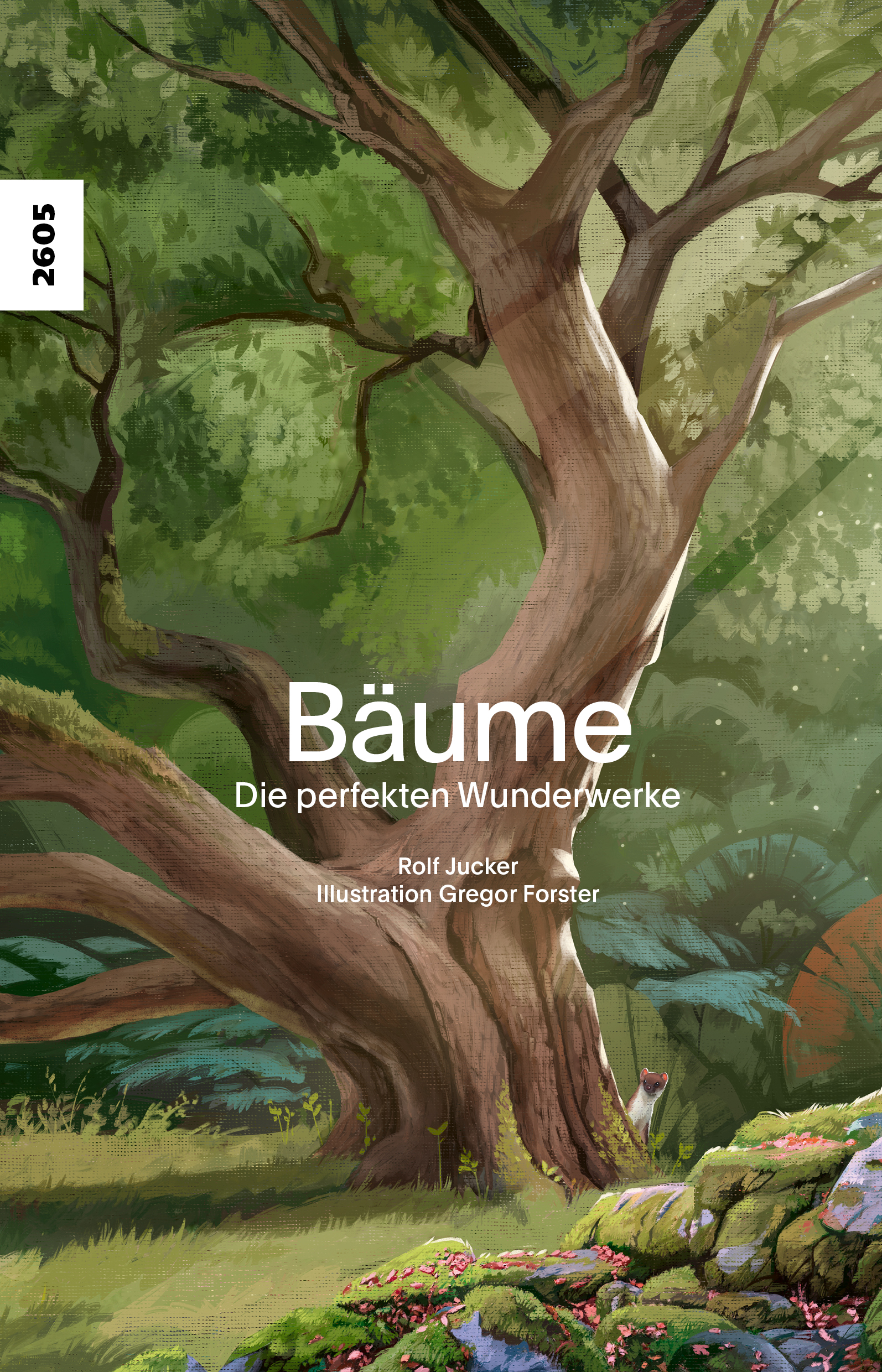Baeume - die perfekten Wunderwerke, ein Sachbuch von Rolf Jucker, Illustration von Gregor Forster, SJW Verlag, Natur, Baum