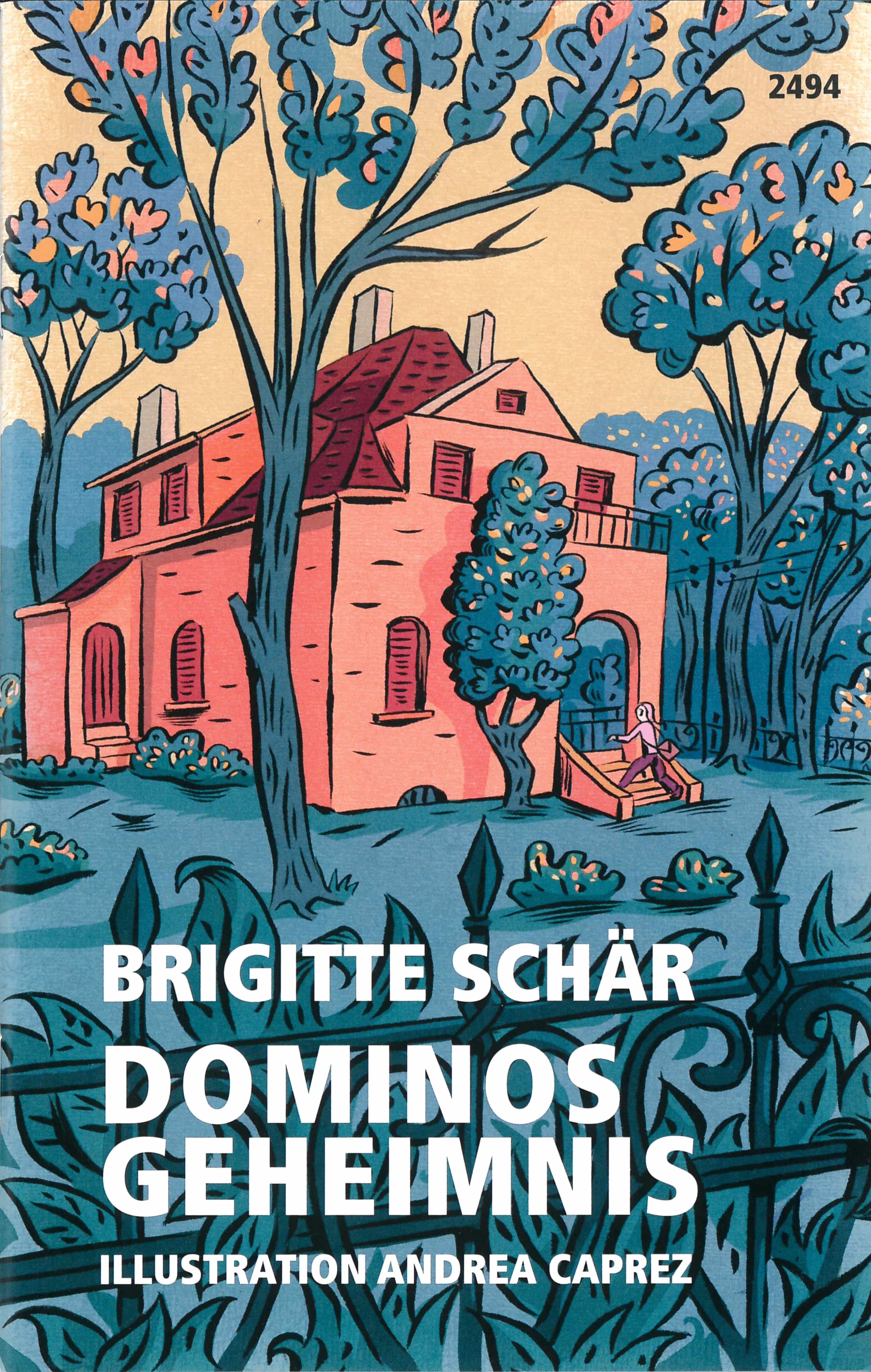 Dominos Geheimnis, ein Jugendbuch von Brigitte Schaer, Illustration von Andrea Caprez, SJW Verlag, Fantasy