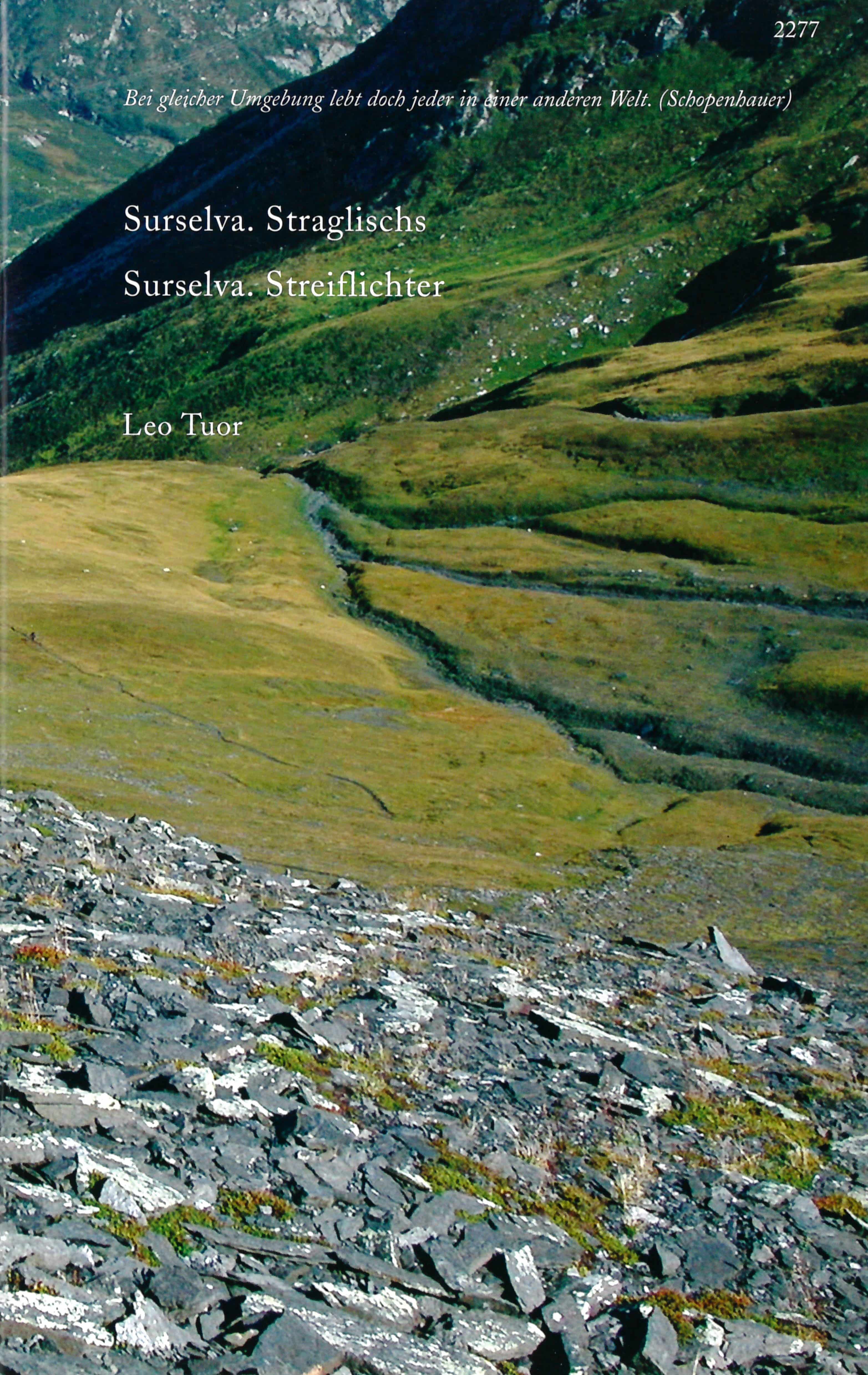Surselva. Straglischs / Surselva. Streiflichter, ein Buch von Leo Tuor und Lucia Degonda, SJW, Natur, zweisprachig, Sursilvan