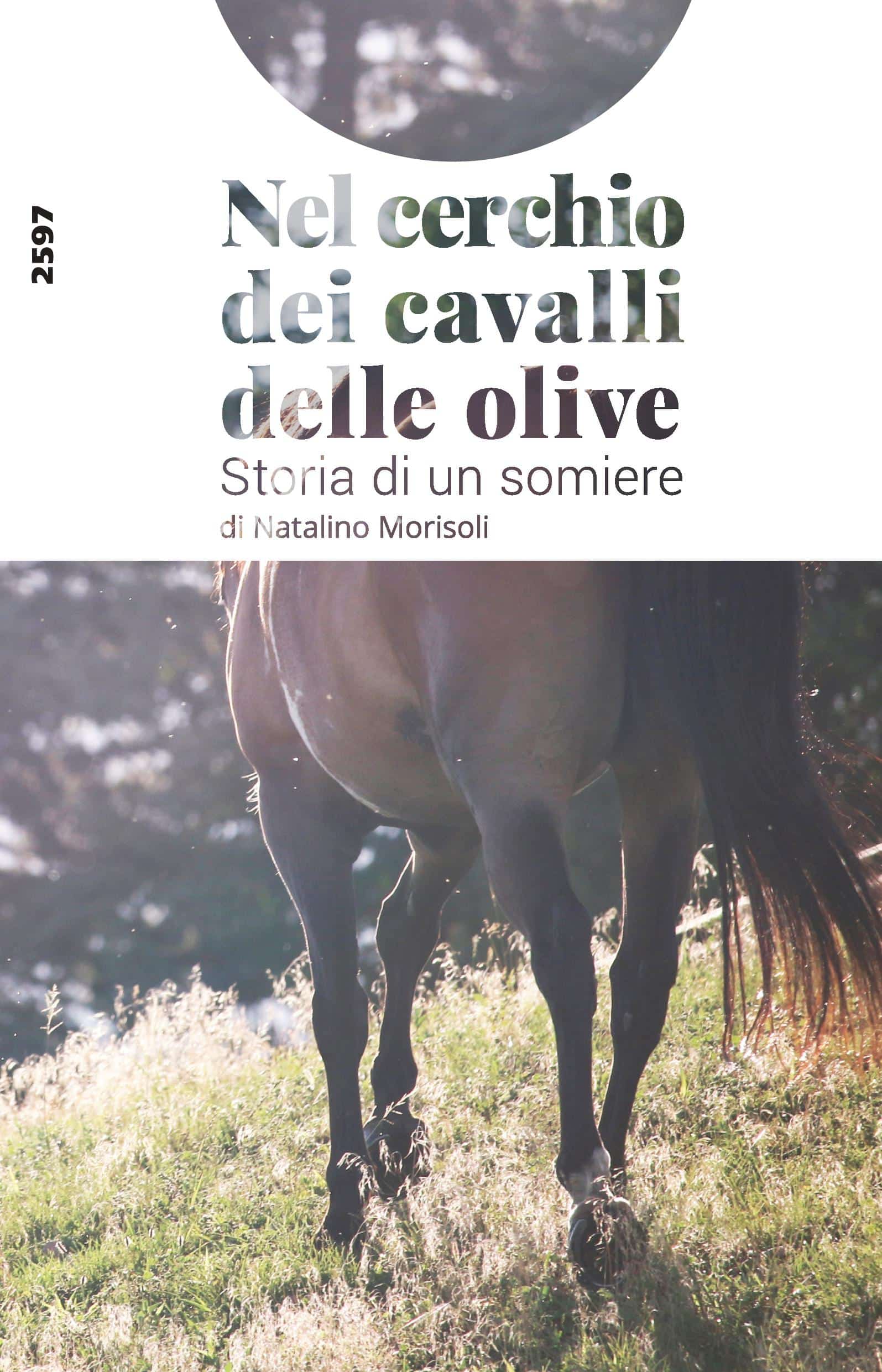 Nel cerchio dei cavalli delle olive - Storia di un somiere